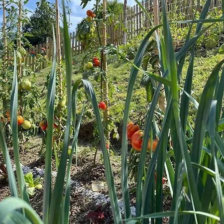 Farm stay San Lorenzo Di Persegno