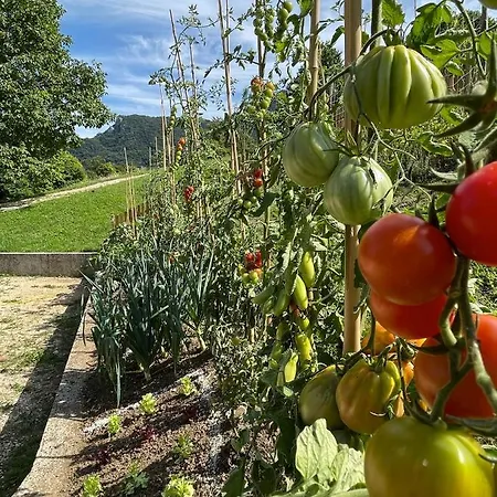 San Lorenzo Di Persegno Farm stay Toscolano Maderno