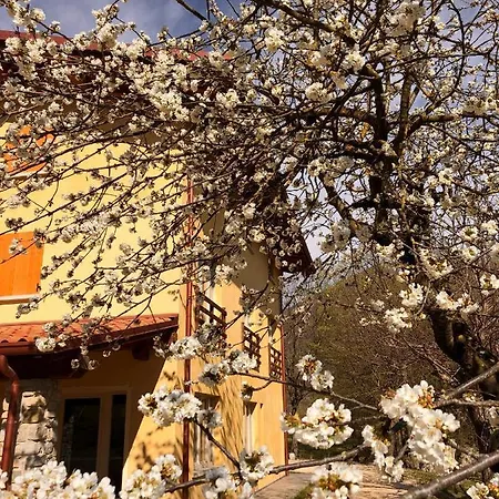 San Lorenzo Di Persegno Farm stay